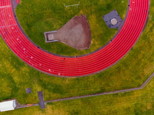 Les champions du Jujitsu à connaître